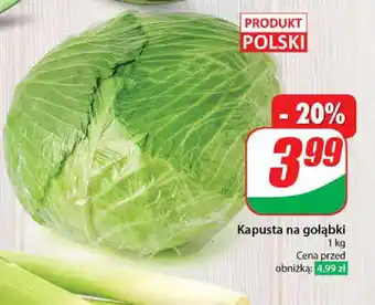 Dino Kapusta na gołąbki 1 kg oferta