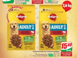 Dino Sucha karma dla psa z wołowiną Pedigree Mars, 2,6 kg oferta