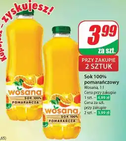 Dino Sok pomarańczowy Wosana oferta