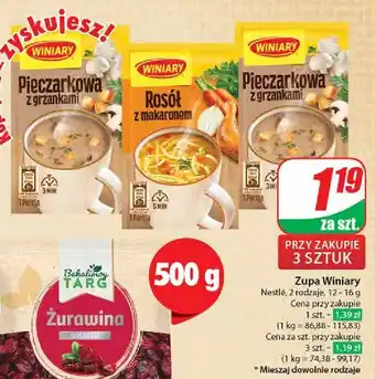 Dino Rosół z makaronem Winiary oferta