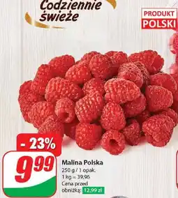 Dino Maliny polska oferta