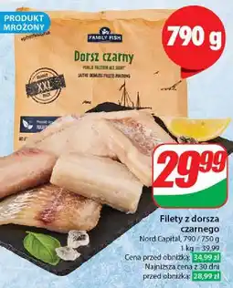 Dino Dorsz czarny Family Fish oferta