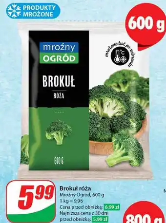 Dino Brokuły Mroźny Ogród oferta