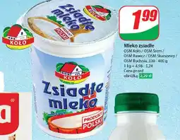 Dino Zsiadłe mleko Skarszewy oferta