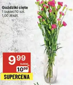 Delikatesy Centrum Goździki cięte oferta