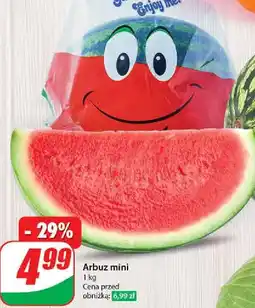 Dino Arbuz mini oferta