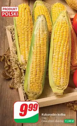 Dino Kukurydza w kolbach oferta