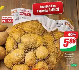 Dino Ziemniaki wczesne oferta
