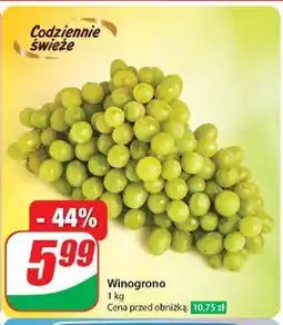 Dino Winogrona jasne oferta