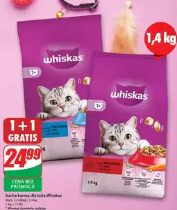 Dino Karma dla kota z wołowiną Whiskas oferta