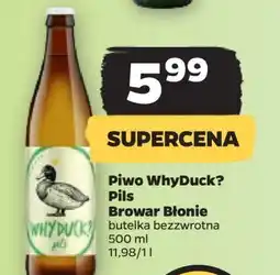 Netto Piwo Why Duck? Pils oferta
