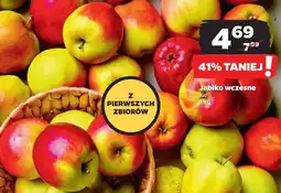 Netto Jabłka wczesne oferta