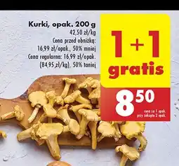 Biedronka Kurki oferta