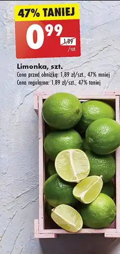 Biedronka Limonka oferta