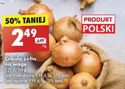 Biedronka Cebula żółta polska oferta