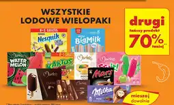 Biedronka Lody mini Algida Big Milk oferta
