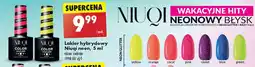 Biedronka Lakier neon pomarańczowy Niuqi oferta