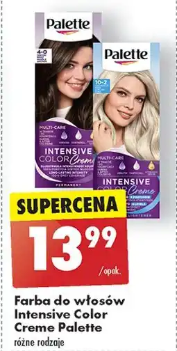 Biedronka Farba do włosów 4-0 (n3) Palette Intensive Color Creme oferta
