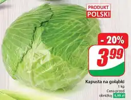 Dino Kapusta na gołąbki oferta