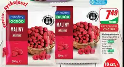 Dino Maliny Mroźny ogród oferta