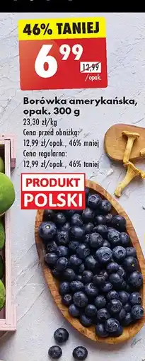 Biedronka Borówki amerykańskie oferta