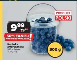 Netto Borówki amerykańskie polska oferta