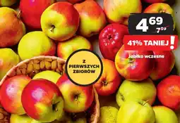 Netto Jabłka wczesne oferta