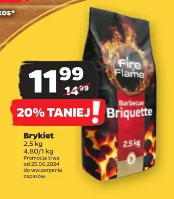 Netto Brykiet Fire & Flame oferta