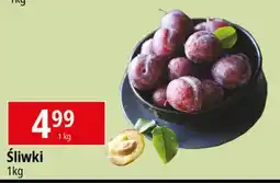 E.Leclerc Śliwki oferta