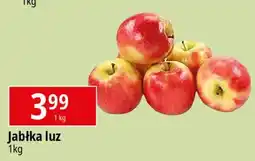 E.Leclerc Jabłka oferta