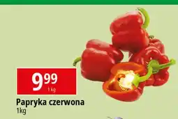 E.Leclerc Papryka czerwona oferta