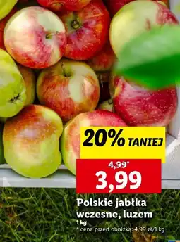 Lidl Jabłka wczesne oferta