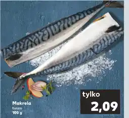 Kaufland Makrela oferta