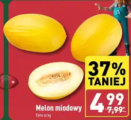 ALDI Melon oferta