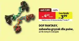 Kakadu Gryzak Dog Fantasy oferta