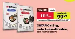 Kakadu Karma dla kota Ontario oferta