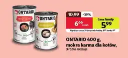 Kakadu Karma dla kota Ontario oferta