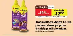 Kakadu Preparat do akwarium Tropical oferta