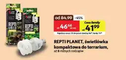 Kakadu Świetlówka do terrarium Repti planet oferta