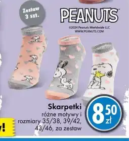 Tedi Skarpetki oferta