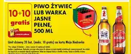 Biedronka Piwo Żywiec lub Warka oferta