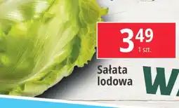 E.Leclerc Sałata lodowa oferta