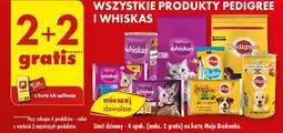 Biedronka Karma dla kota drobiowe frykasy kurczak + indyk Whiskas Pure Delight oferta
