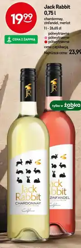 Żabka Jack Rabbit oferta