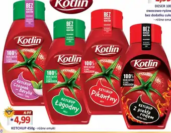 Hale Banacha Ketchup Kotlin oferta