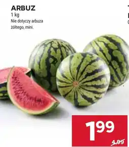 Stokrotka Arbuz oferta