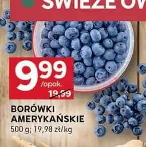 Stokrotka Optima Borówki amerykańskie oferta