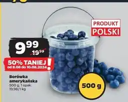 Netto Borówka amerykańska Polski oferta