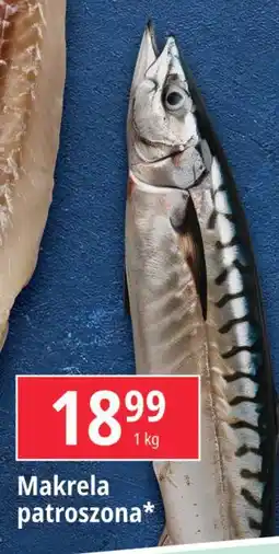 E.Leclerc Makrela patroszona oferta