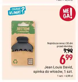 Rossmann Spinka do włosów łapacz Jean Louis David oferta